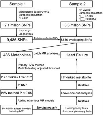 Using a Two-Sample Mendelian Randomization Method in Assessing the Causal Relationships Between Human Blood Metabolites and Heart Failure